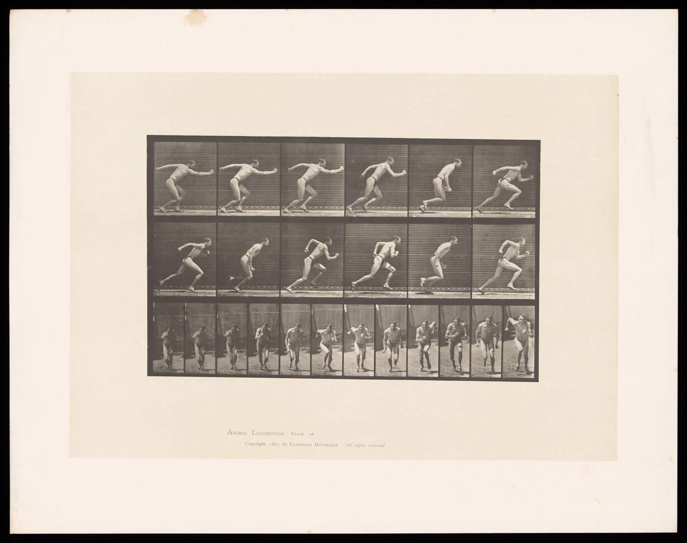 Sequential photographs of a man sprinting by Eadweard Muybridge, 1887